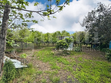 Foto Terreno agricolo in Palmentelle, Angri Centro di 2920 m² in vendita