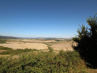Foto Attività commerciale a Montalcino Centro di 3998 m² con 6 locali