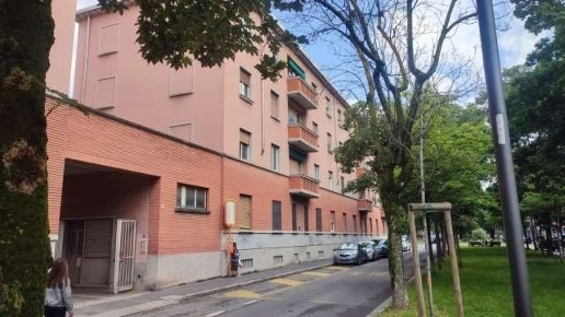 immagine annuncio 1 di 14