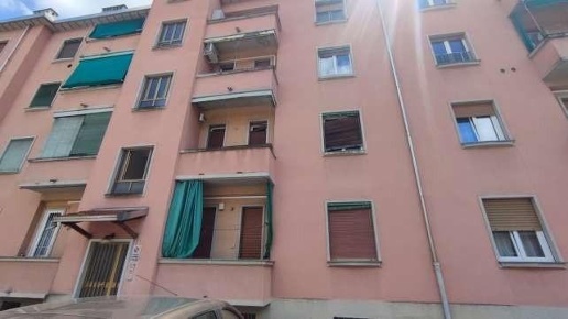 immagine annuncio 2 di 14