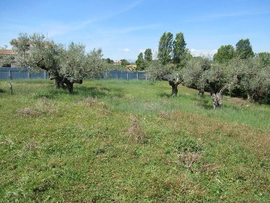 Foto Terreno residenziale a Spoltore di 13000 m² in vendita