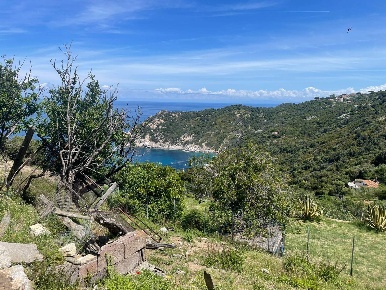 Foto Terreno agricolo a Marciana di 230 m² in vendita