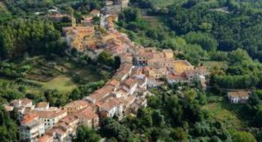 Foto Terreno agricolo in Via Poggio alla farnia, Fauglia in vendita