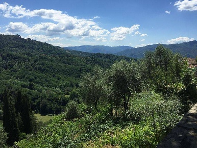 Foto Terreno agricolo in Via Valtriano 7, Fauglia Valtriano in vendita