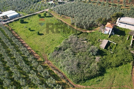 Foto Terreno residenziale in Loc.  Piano Grande snc, Vieste di 8811 m²