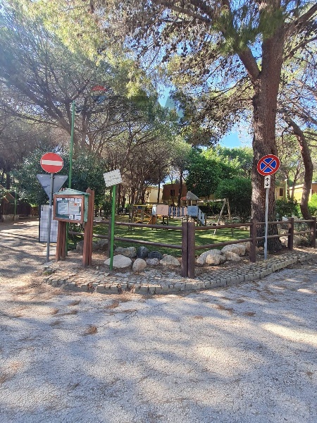 immagine annuncio 9 di 12