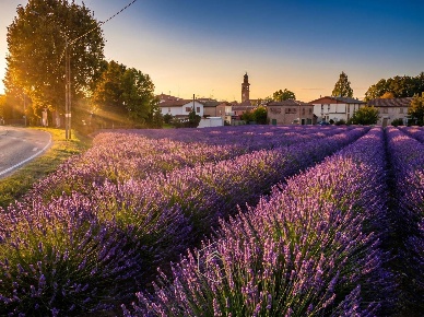 Foto Terreno residenziale in via marconi  41, Vigarano Mainarda Centro