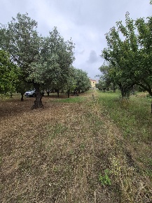 Foto Terreno edificabile in Via Ingegnere Giuseppe d'Audino 18, di 2823 m²