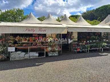 Foto Attività commerciale a Carrara Stadio, Sant'Antonio, Marasio di 40 m²