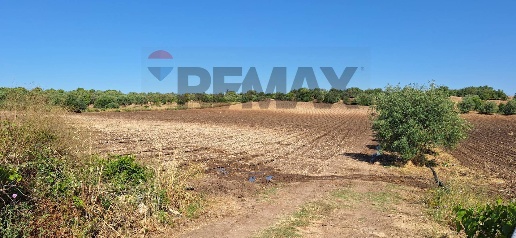 Foto Terreno agricolo in Contrada Benuini snc, Noto di 36689 m² in vendita