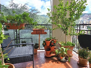 Foto Appartamento in Via Brindisi, Genova San Teodoro di 100 m² in vendita