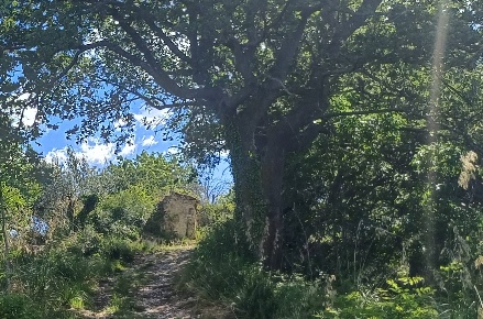 Foto Rustico in contrada Piana Santi, Massignano di 70 m² in vendita