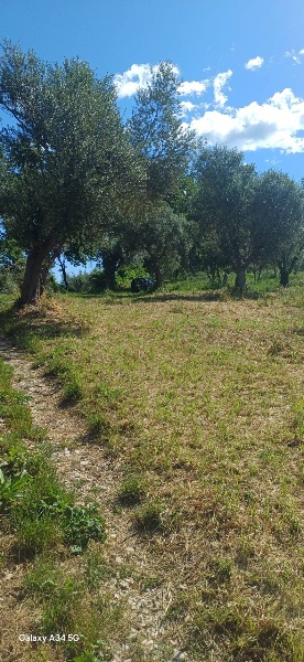 immagine annuncio 2 di 4