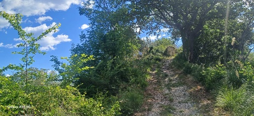 immagine annuncio 3 di 4