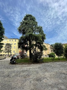 Foto Appartamento in via Buonarroti, Lodi Vecchio Centro di 75 m²