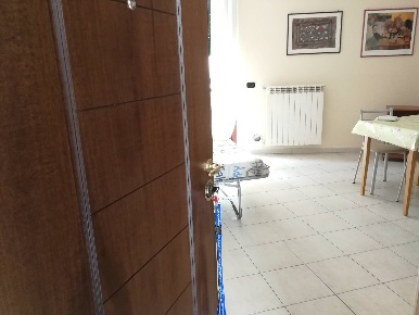 Foto Appartamento a Novara di 38 m² con 1 locali in affitto