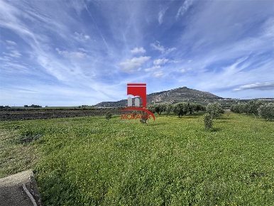 Foto Terreno in Strada Palermo Milo, Erice di 5570 m² in vendita