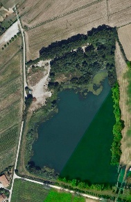 Foto Terreno agricolo a Vicopisano in vendita