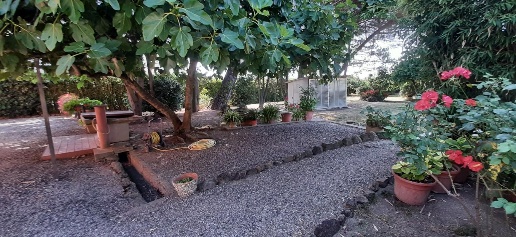 Foto Casa indipendente a Rosignano Marittimo di 130 m² con 5 locali