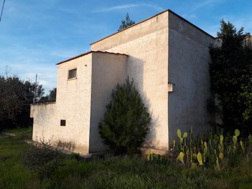 immagine annuncio 2 di 13