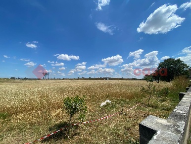 Foto Terreno agricolo in Via Porta Brenta snc, Manduria Centro di 9 m²