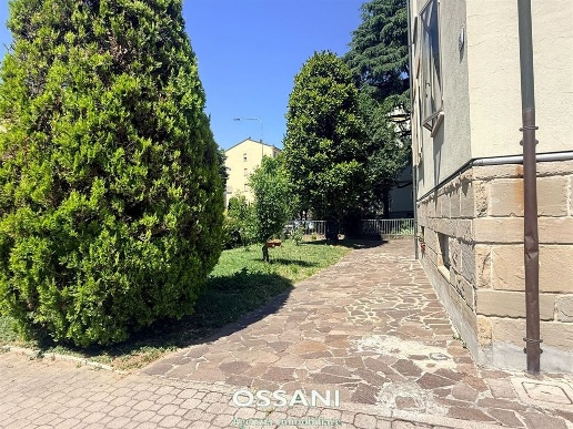 immagine annuncio 11 di 14