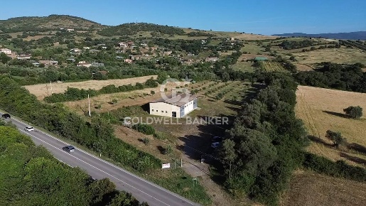 Foto Capannone industriale in Località Poggio Barone, Monte Romano