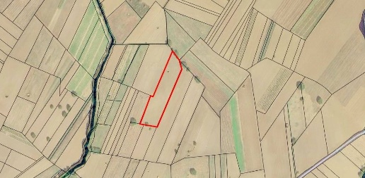 Foto Terreno agricolo in Molara, Sturno di 8691 m² in vendita