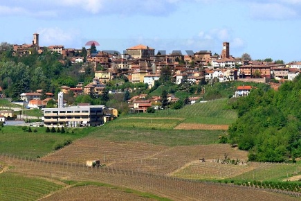 Foto Terreno agricolo in Maranzana, Mombaruzzo Centro di 4530 m² in vendita