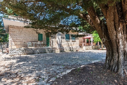 Foto Villa unifamiliare in Viale del Bosco snc, Fasano di 340 m² in vendita