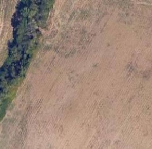 Foto Terreno agricolo in Località Campotatti, Poggibonsi di 39360 m²