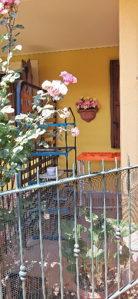 immagine annuncio 7 di 15