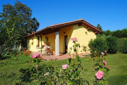 Foto Case indipendenti a Calcinaia di 50 m² con 3 locali in affitto