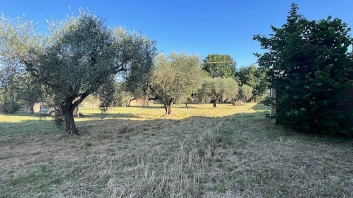 Foto Terreno agricolo in Via Catalano snc, Civita Castellana di 1500 m²