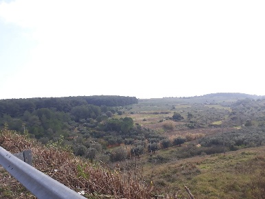 Foto Terreno agricolo in Memorie, Otranto di 60000 m² in vendita