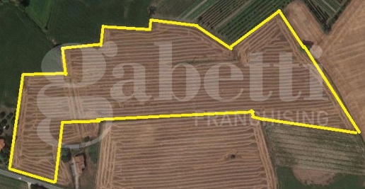 Foto Terreno agricolo a Tribano di 43000 m² in vendita