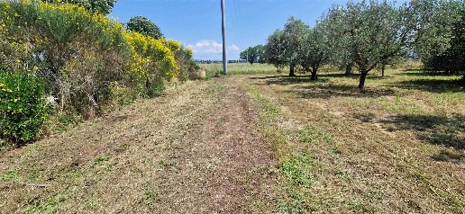 immagine annuncio 4 di 7