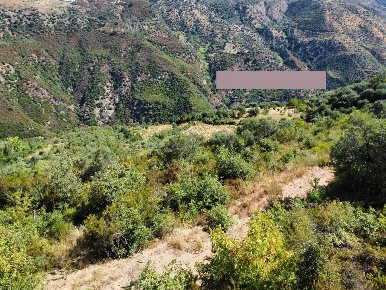 Foto Terreno agricolo in LOCALITà PANTANELLE, Luzzi Centro in vendita