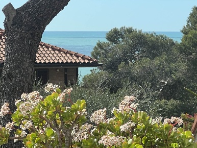 Foto Appartamento a Livorno Quercianella di 156 m² con 5 locali in vendita
