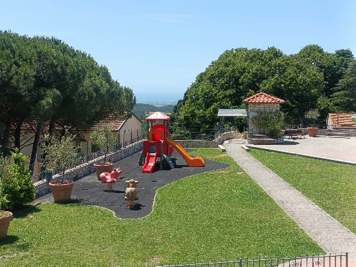 immagine annuncio 10 di 14