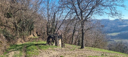 immagine annuncio 1 di 12