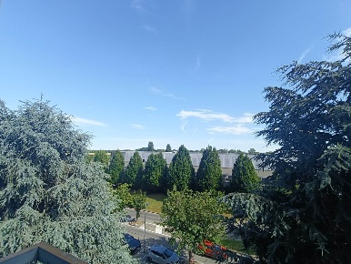 Foto Appartamento a Rivalta di Torino di 65 m² con 2 locali in affitto