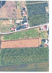 Foto Terreno agricolo a Cesena San Martino in Fiume di 7800 m² in vendita
