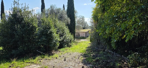 Foto Terreno agricolo in Via Enrico Fermi 13, Morlupo in vendita
