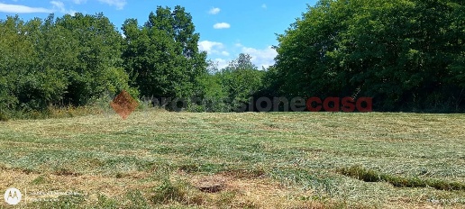 Foto Terreno agricolo in Via CAMPO GRANDE SNC, Ceprano di 2500 m²