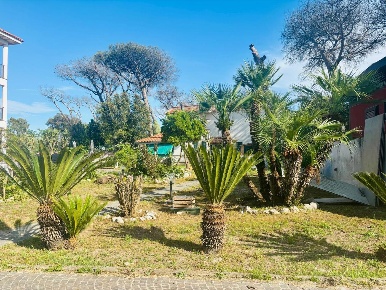 Foto Appartamento in delle azalee, Castel Volturno Pinetamare di 130 m²