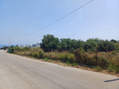 Foto Terreno residenziale in Via Piano Madonna snc, Altavilla Milicia