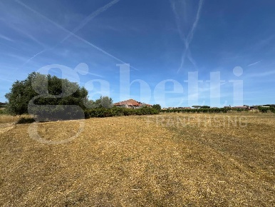 Foto Rustico in Via GIOVANNI PRATI 76, Marino Santa Maria delle Mole