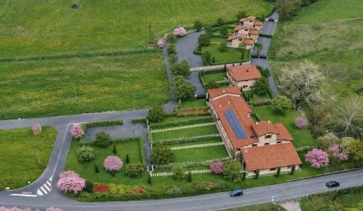 immagine annuncio 11 di 13