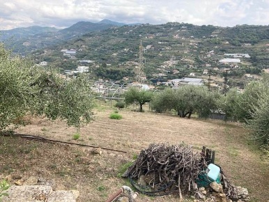 Foto Terreno edificabile a San Biagio della Cima di 4500 m² in vendita